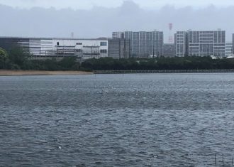 谷津干潟ブログ最新投稿写真