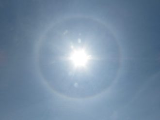 谷津干潟ブログ最新投稿写真