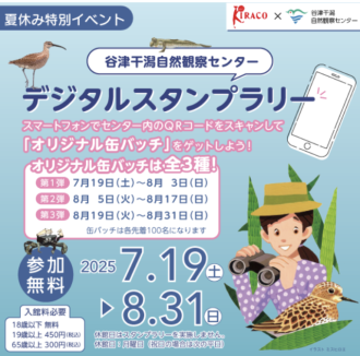 谷津干潟ブログ最新投稿写真