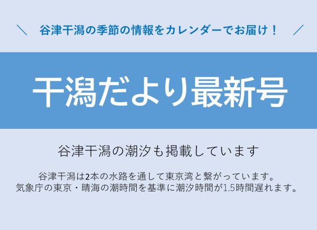 干潟だより最新号