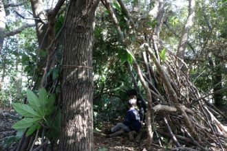 主催イベント：みんなでつくろう！秘密基地の画像