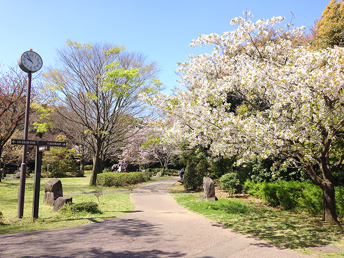 芝⽣広場の写真