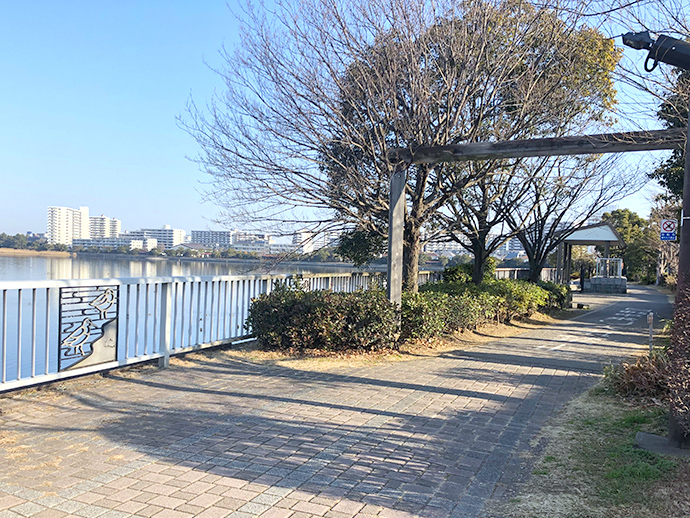 遊歩道の写真