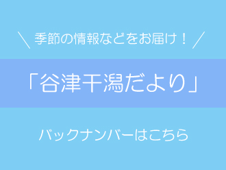 「谷津干潟だより」バックナンバー