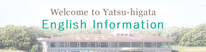 English Information