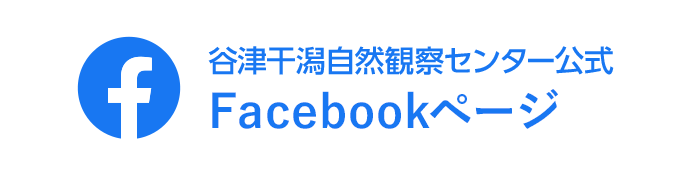 谷津干潟自然観察センター公式 Facebookページ