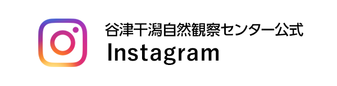谷津干潟自然観察センター公式 Instagram