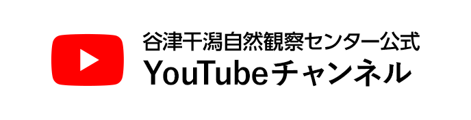 谷津干潟自然観察センター公式 YouTubeチャンネル