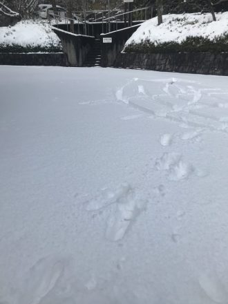 少年自然の家だより最新投稿写真