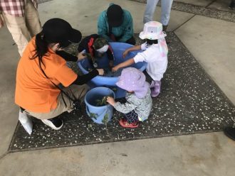 少年自然の家だより最新投稿写真