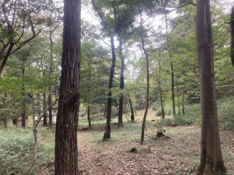 少年自然の家だより最新投稿写真