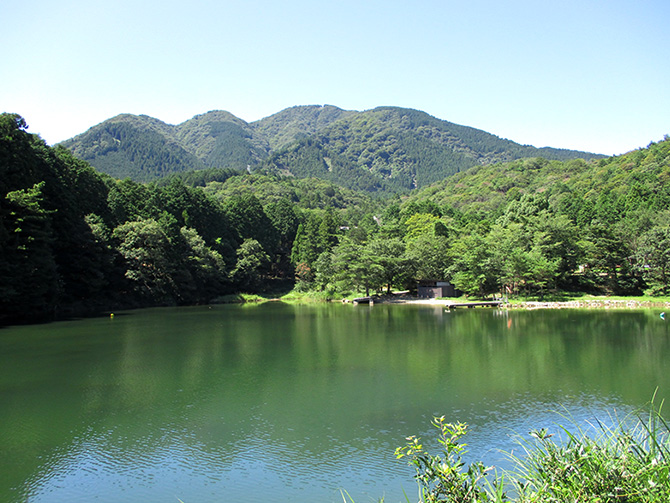 大門池の写真